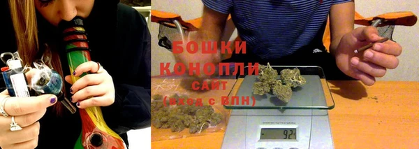шишки Алзамай