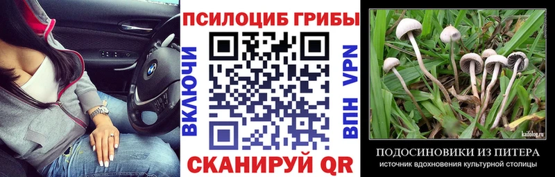 Галлюциногенные грибы Cubensis  Шацк 